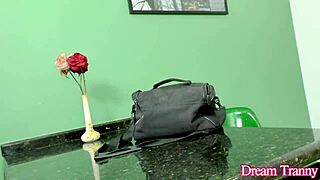 Sexy tgirls Julia Alves and Nataly Sousa try a bunch of dildos with toys and cock play