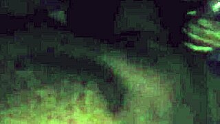 Suzy Furac�o gives oral pleasure to Leo Ogro