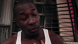 Big Cock Studs Fucking Horny Ebony In Bound Bondage Domination BDSM Submission Anal Group Orgy Gangbang