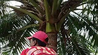 Workout turns intriguing when keeping up with sexy crazybitch in wild unexpected ways. She drives everyone nuts with her teasing moves.