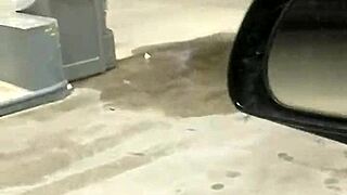 Putting On A Great Show For My Beloved City