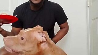 llamasr update 1 from march 18 2025 with solo food content