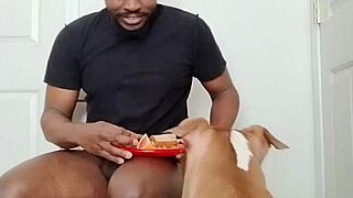 llamasr update 1 from march 18 2025 with solo food content