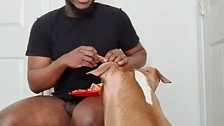 llamasr update 1 from march 18 2025 with solo food content