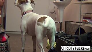 Three Sexy Pornstars Licking Each Other's Pussies Wildly!