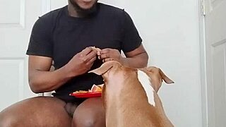 llamasr update 1 from march 18 2025 with solo food content