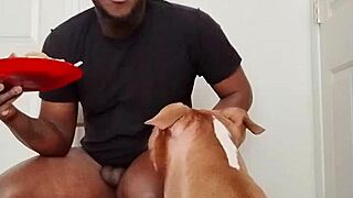 llamasr update 1 from march 18 2025 with solo food content