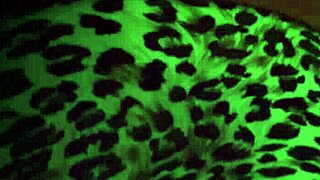 my kinky wife flashes legs and panties on ordinary day