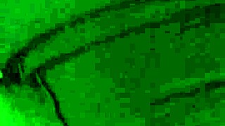 bbc overwhelms milf with pure lust