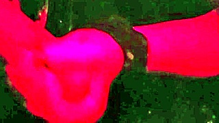 Wife gloryhole sucks brazilian big cock husband watches