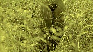 my secret vintage naturist beach pussy reveals