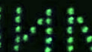 Skinny Brunette Teen Bedroom Fun Petite Waist Silly Cute Poses!