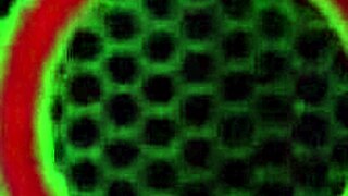 curvy blonde nina kayy squirts bent over doggystyle