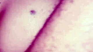 her juicy ass milks big black cock to creampie?