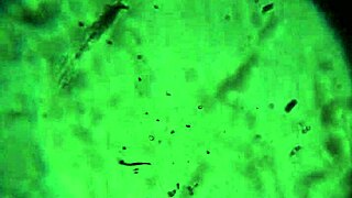 aqui tienes mi espeso cum close up para que lo pruebes todo caliente