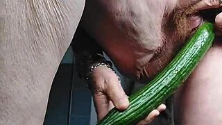 granny whore stuffs hairy beaver with fat cucumber