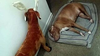 Showing Off Zodiac Patience With Group Ass Spreading And Kisses