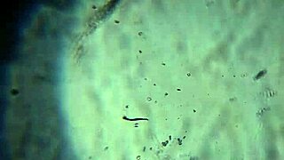 aqui tienes mi espeso cum close up para que lo pruebes todo caliente