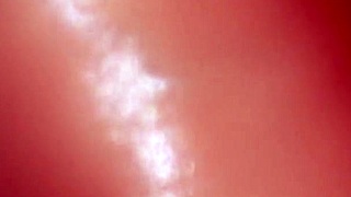 japanese babe gulps cum closeup blowjob love story climax