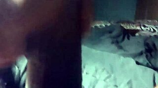 I can't stop staring at this thick bajan big black monster cock pulsing with raw power