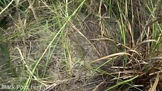 skinny ebony tribe girl ass shakes outdoors