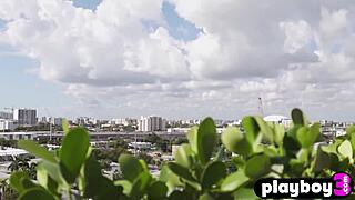 Cute petite Asian babe strips exposing natural small tits body