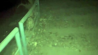 imagine her big boobs shaking hardcore in jungle as hot athletic gf gets fucked valentine style