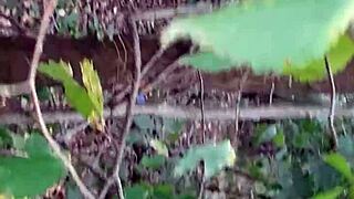 we sneak pussy licking and fucking deep in the forest