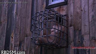 i feel the bdsm electro torment deep