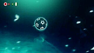 nigeria takes on japan in epic cultural showdown match