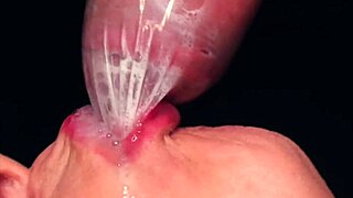 Brazilian Latina Teen Close-Up Cum In Mouth Blowjob Compilation