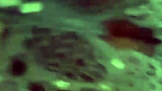 Rossmexicnaa masturbates wildly with new lingerie dildo?