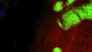 oiled redhead's wet ass and pussy begging for my cock!