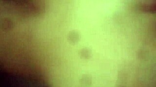 cogiendo a mi novia nalgona de doggy style