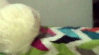 Homemade Latina Takes Big Black Cock Hard And Deep