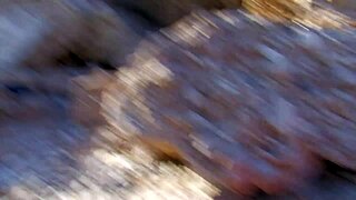 Latina Mommy Rides Monster Cock Deep On Beach