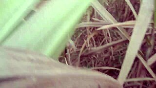 indian village girl pisses outdoors publicly first time!