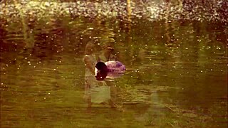 wanna hook this horny milf's fisherman's throbbing rod?