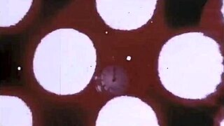 check out these steamy vintage erotic masterpieces up close