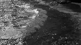 ever seen vintage erotic art this raw and timeless?