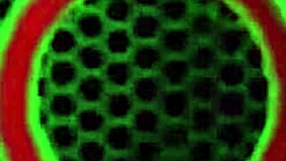 Darina's wet milf ass and big pussy lips stretched doggystyle by rough cock