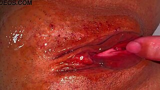 Amatorska japońska żona z różową wygoloną cipką lizana 356 dni po utracie dziewictwa