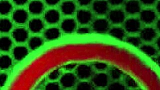 i love vicky vette tongue fucking maxine x wet pussy