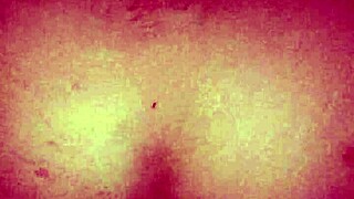 Does this Dominican bbw love anal doggystyle bent over?