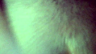 how should you fuck your wife or let another man steal her?