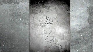 Vintage Threesomes Unveil Hairy Pussy Beaver Bliss