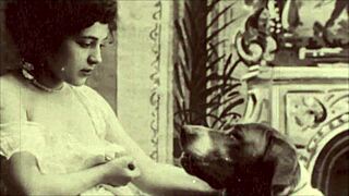 Vintage Antique Retro Erotic Bent Over Doggystyle Illustrations Collection