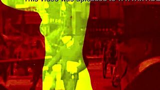 vintage hairy pussy erotic beaver showcase