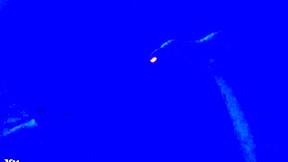 blacklight glows on those sexy feet for hot fetish toes!