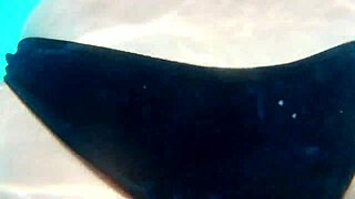 Hubby films wife's wild pool fantasy cuckold outdoor romp!